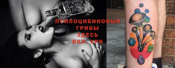 молекула духа Балахна